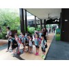 Excursion 